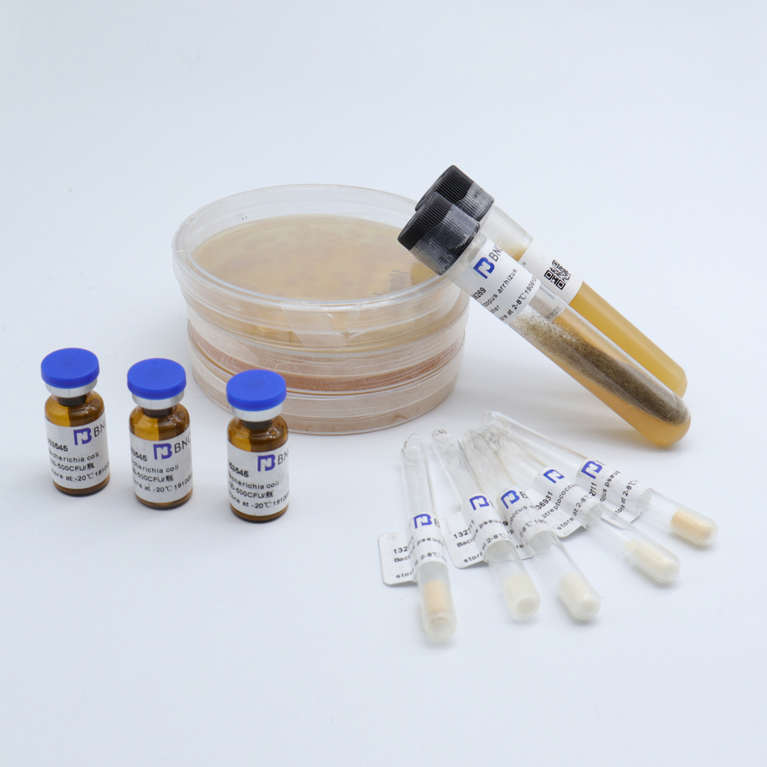 Candida parapsilosis